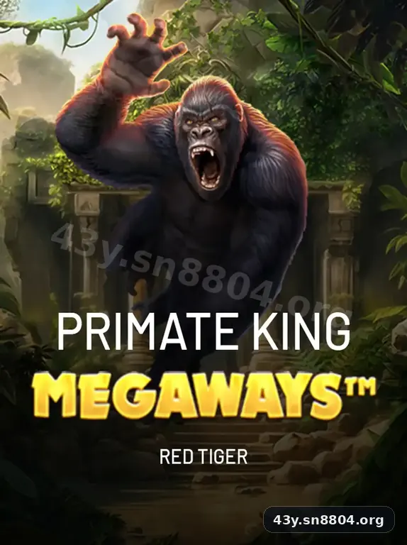 Imagem promocional da 43y mostrando a plataforma e suas vantagens